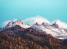 中国体育的崛起：汗水、科技与未来的篇章